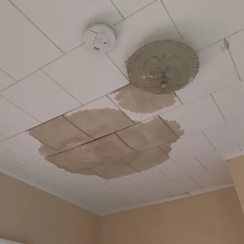 Ceiling Water Damage Repair in Bacliff, TX